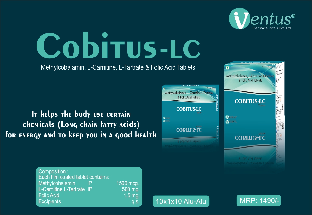 ventus category
